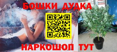 гашик Партизанск