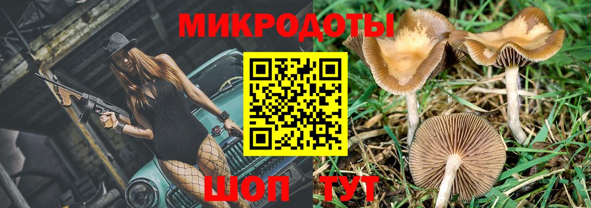 Реж  Галлюциногенные грибы мухоморы  Вход с VPN 